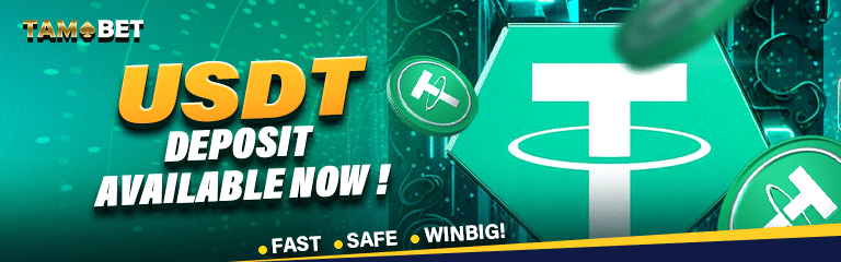 mcs_1702683952217_usdt 768x240px